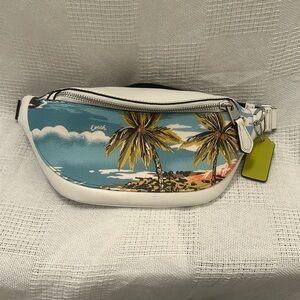 Coach belt bag